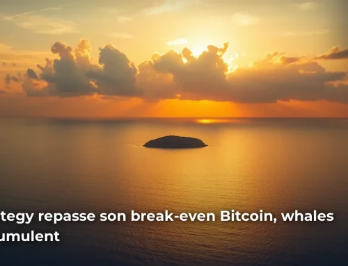 Strategy repasse son break-even Bitcoin, whales accumulent